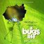 A Bug's Life