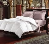 Eiderdown European Batiste Down Comforter