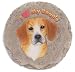 Beagle Stepping Stone
