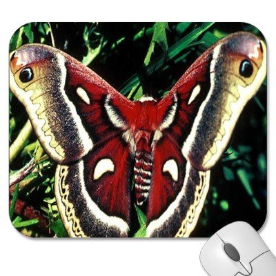 Mousepad - 9.25