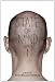 State of Mind