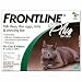 Pet Supplies : Frontline Plus for Cats & Kittens 6 Dose (Six Dose (6-applications))