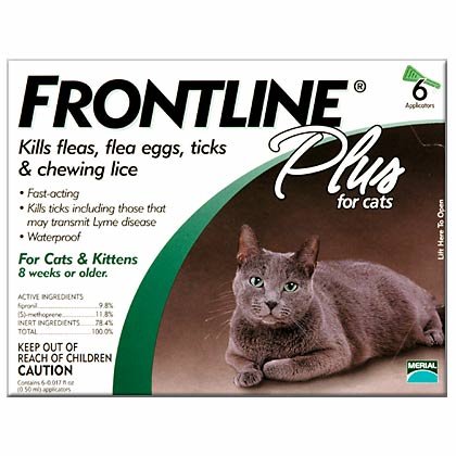 Buy Now at Amazon.com: 12 MONTH Frontline PLUS For Cats