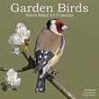 Garden Birds 2013 Wall Calendar 12" X 12"