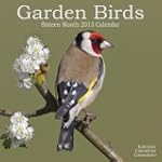 Garden Birds  2013 Wall Calendar