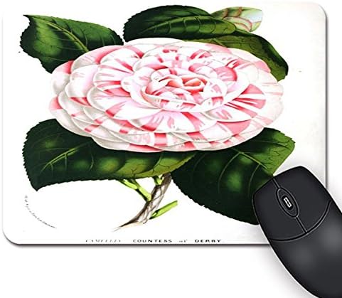 Botanical Flore Rectangle Non-Slip Rubber Mouse Pad Mousepad Standard Size 9.27 x 7.25