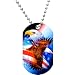 USA Soaring Eagle Dog Tag Necklace