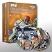 2010 FIM Speedway Grand Prix Series DVD Boxset