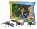 Butterflies Morphs Set