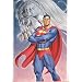 SUPERMAN DOOMSDAY POSE 5OO PIECE PUZZLE