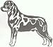 Dog Rubber Stamp - Rottweiler - 12I