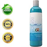Shampoo for Dry Hair and Flaking Scalp - 100% Safe for Color Treated Hair - Pure Silk Amino Acids, Lavender & Jojoba Oil - 100% Natural, Treatment for Dry & Damaged Hair - Women, Men & Teens - Gentle, Safe & USA Made by Maple Holistics