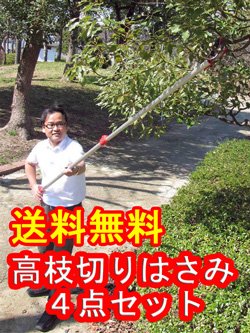 高枝切りはさみ４点セット 完成品 （高枝切りハサミ・太枝切りはさみ・のこぎり・剪定ばさみ）