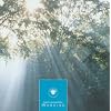 Ozella Compilation: Morning