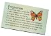 Happiness in Your Life - thehiyL Magnet - Forgiveness Magnet