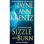 Sizzle and Burn by Jayne Ann Krentz