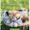Auf leisen Pfoten 2012. Postkartenkalender