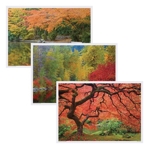 Hoffmaster 702078 Placemat Multipack, 3 Designs, 14" Length x 10" Width, Fall, Multicolored (Case of 1000)