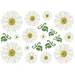 transForms Removable Rub-On Wall Transfers: Lazy Daisies