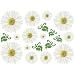 transForms Removable Rub-On Wall Transfers: Lazy Daisies