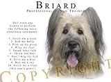 Briard Human Trainer Mouse Pad Dog Mousepad