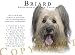 Briard Human Trainer Mouse Pad Dog Mousepad