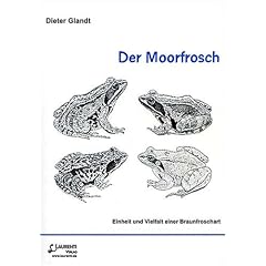 Der Moorfrosch