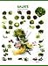 Salate. Poster: Blattsalate - 