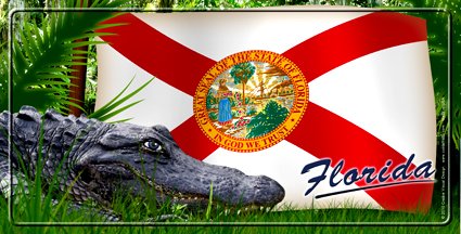 Florida Gator With Florida State Flag Vanity Auto License Plate