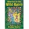 know what Tarot Decks a witch prefers