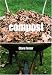 Compost