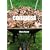 Compost