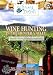 Culinary Travels Wine Hunting in the Hunter Valley Hunter Valley, Australia-Rosemount Winery