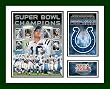Indianapolis Colts NFL Framed Photograph Super Bowl XLI Champs Milestone Collage