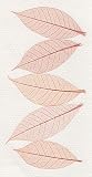 Skeleton Leaves- Pack of 15 Candy Pink Mini Rubber Tree