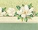 For Arts Sake - Carol Wilson White Magnolia 10 ct Embossed Note Card Set