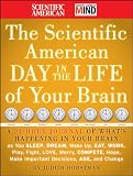 The Scientific American day in the life of your brain