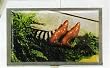 Wizard of Oz Small Metal Box