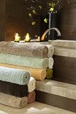51Ls9bzLdWL. SL160  TurkishTowels Absorbent Bath Rug 24X40, 60% Cotton, 40% Rayon from Bamboo, 650gsm, Made in Turkey, Bonsai Green Reviews