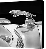 1937 Jaguar Prototype Hood Ornament black and white Canvas Print / Canvas Art - Artist Jill Reger