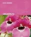 Book Orquideas (Blume jardineria)