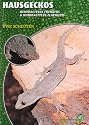 Hausgeckos - Hemidactylus Frenatus & Hemidactylus Flaviridis