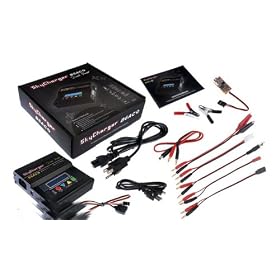 Sky Charger B6AC 5-in-1 DUAL POWER Charger for 1-6 Cell Li-ion, LiPo and LiFe Batteries w ... from Toy RC Airplanes