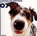 Australian Shepherd 2007 Calendar (Artlist Collection: The Dog)