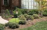 PetSafe Outdoor Ultrasonic Bark Deterrent