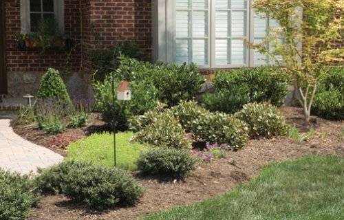 PetSafe Outdoor Ultrasonic Bark Deterrent under The Home and garden Store
