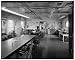 Historic Photo U.S. Plant Introduction Station Main Headhouse & Lean-to Greenhouses 11601