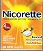 Health & Personal Care : Nicorette Gum 100-pk. - Fruit (4 mg)
