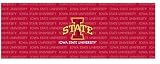 Iowa State Cyclones Team Auto Rear Window Decal