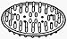 Interdesign #30101 Large White Soap Saver Dish